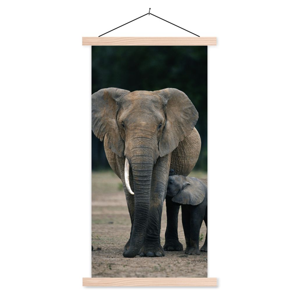 MuchoWow Textilposter Elefant - Tiere - Flachland - Natur 40x80 cm mit holzfarbenen Rahmen - Wohnzimmer