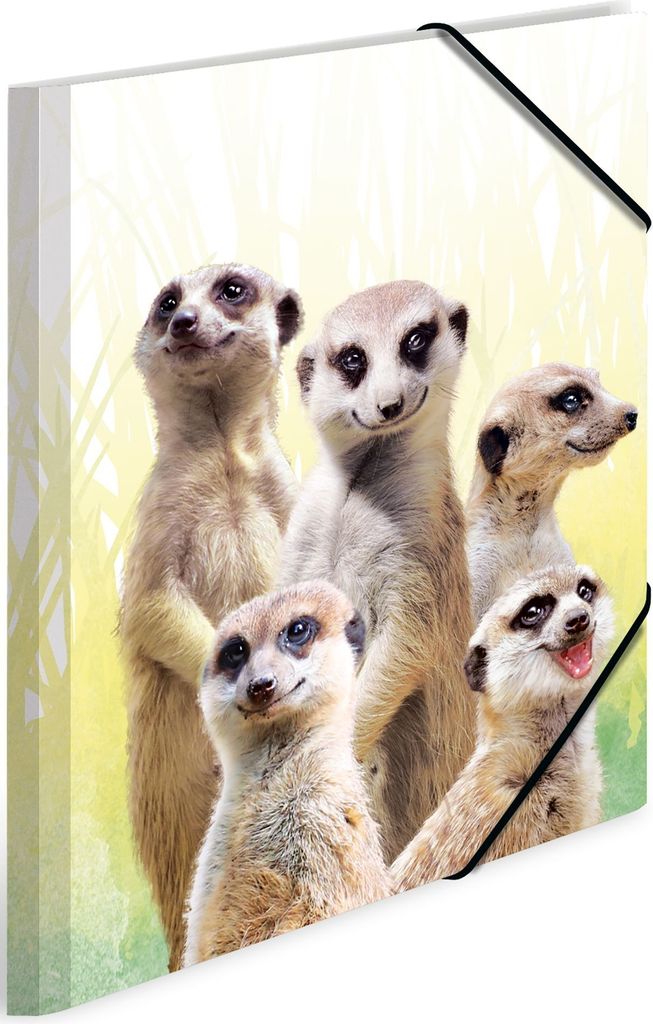 Sammelmappe A4 PP Erdmännchentruppe Packung mit 3 Stück Produktbild 