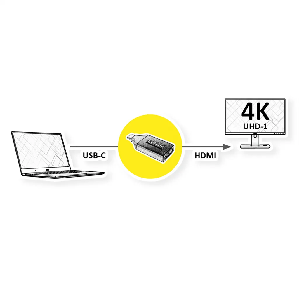 Adaptateur USB C vers HDMI ROLINE GOLD pour Projection et Second Écran 4K - 2