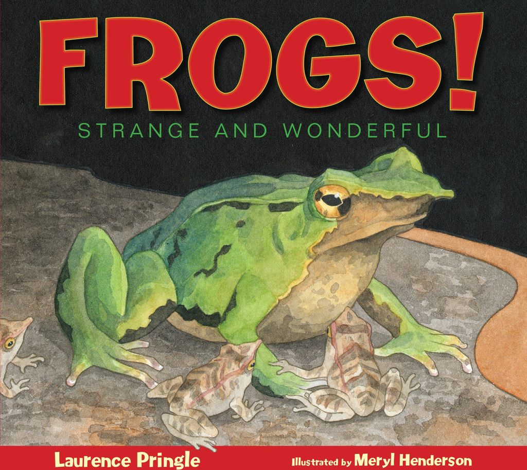 Frogs!