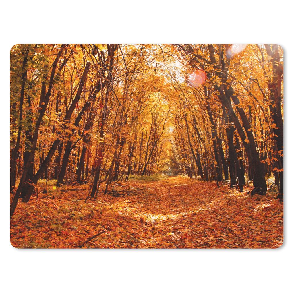 MuchoWow Mauspad Mousepad Herbst - Wald - Laub - Jahreszeiten 23x19 cm - Mousepads - Maus Mat - Pad - Mausunterlage - Schreibtischunterlage - Mau...