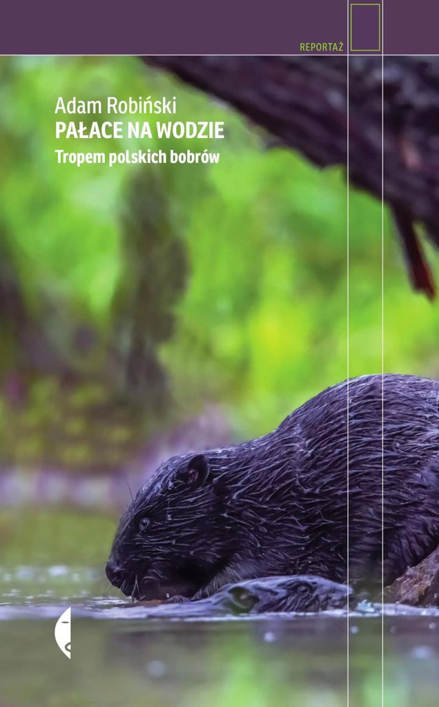 ISBN 978-83-819-1446-8, Polnisch, Hardcover, 200 Seiten