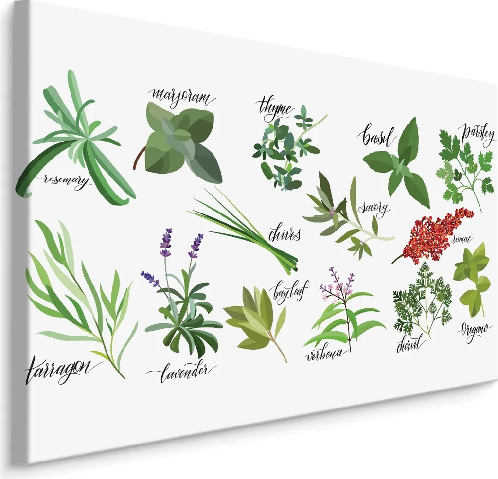 Favolosa Tela SCREEN PICTURE 70x50 cm - Stampa Erbe Aromatiche XXL
