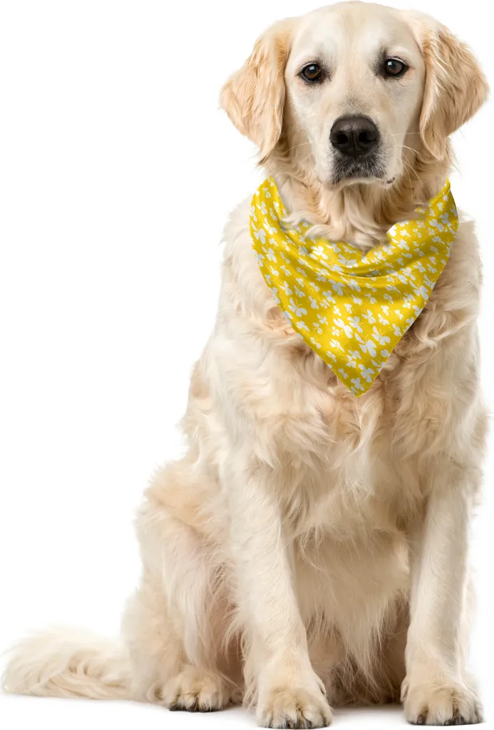 ABAKUHAUS Bandana per animali domestici gialla e bianca, disegno con farfalle, 40x40 cm, giallo terra e bianco