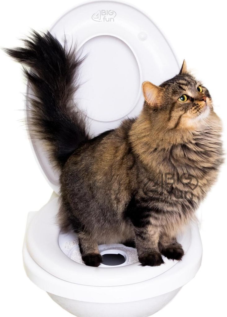 Katzen WC-Sitz Toiletten Training System Katzentoilette Produktbild 2