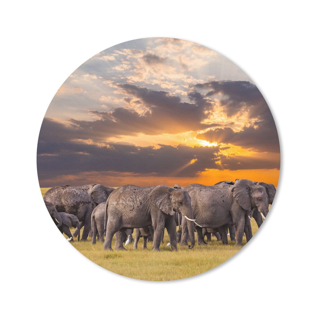 MuchoWow Mauspad Mousepad Elefant - Tiere - Gras - Sonnenuntergang - Natur 20x20 cm - Mousepads - Maus Mat - Pad - Mausunterlage - Schreibtischmatte