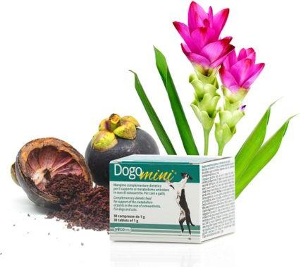Dogoteka - DogoMini - 30 pièces   pour les tendons et les Image du produit 