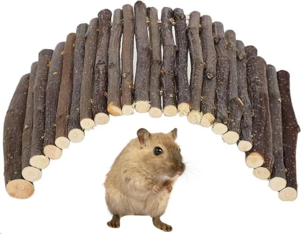 Aménagement cage hamster et rat - Pont en bois pour aire de jeux DIY