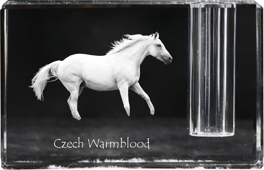 Tschechisches Warmblut - Stifthalter, Kristallorganisator mit Bild eines Pferdes, einzigartige Schreibtischdekoration der Marke Art-Dog