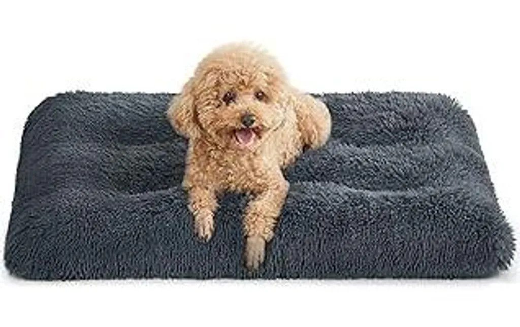 Feandrea Lettino Cani 80x50 cm: Comfort in Peluche Lungo Lavabile