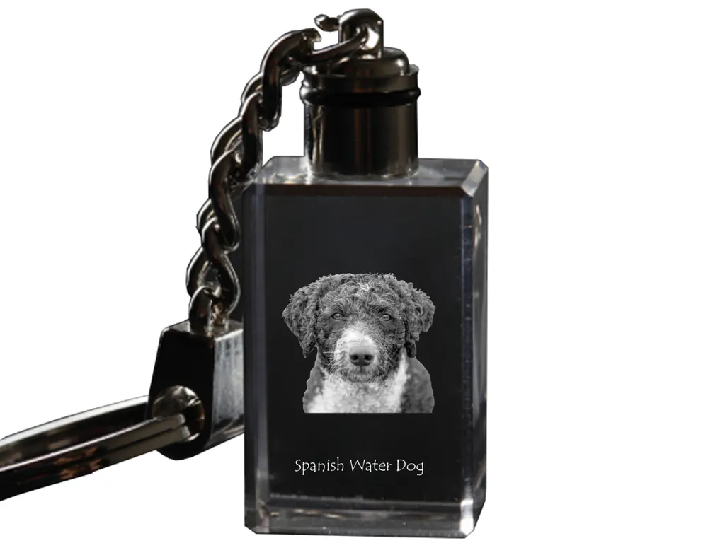 Regalo Unico Cane da Acqua Spagnolo Portachiavi Cristallo LED Art-Dog - 4