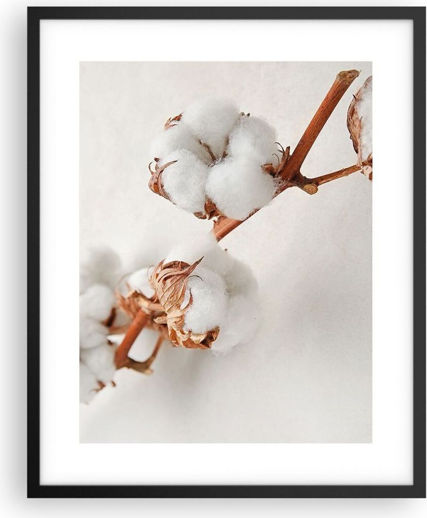 Gerahmtes Poster - Schwarzer Rahmen - Baumwolle Makro Zweig - 40x50 cm - Wand Bild - Wanddeko - Wandbilder - Kunstposter - Wandposter - Bilderrahme...