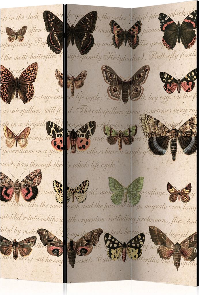 3-teiliger Doppelseitiger Vlies Paravent - Retro Style: Butterflies 135x172 cm Tiere g-C-0032-z-b