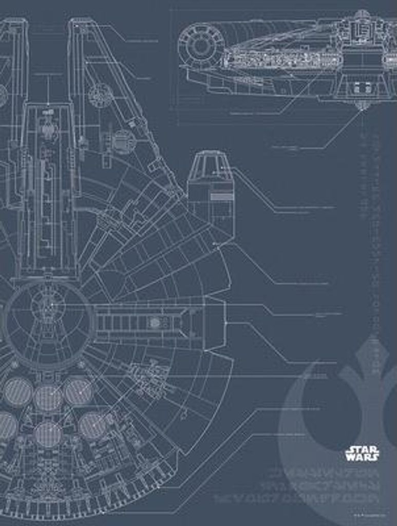 Kunstposter – Star Wars – Karte des Raumschiffs – 30 x 40 cm