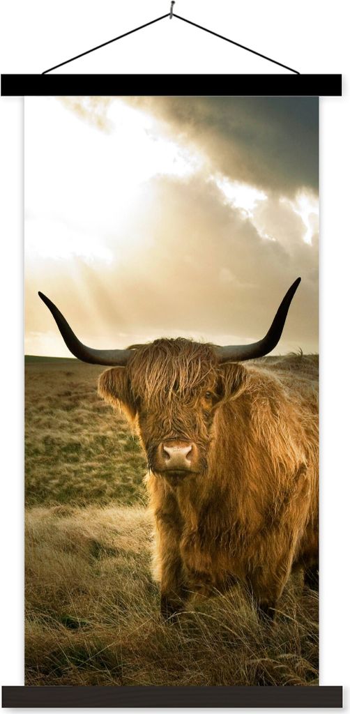 MuchoWow Textilposter Schottisches Hochlandrind - Sonne - Tiere 90x180 cm mit schwarzem Rahmen - Dekoration Wohnzimmer