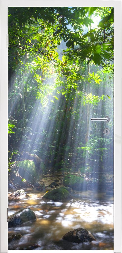 MuchoWow Türtapete Selbstklebende Türfolie Sonnenstrahlen dringen durch die Bäume in den Regenwald von Malaysia 85x215 cm Türposter Türaufkl...