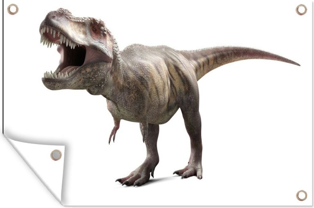MuchoWow 90x60 cm Outdoor-Poster Gartendeko Sichtschutz Garten Poster für den Garten Dinosaurier - Vorgeschichte - Tyrannosaurus - Kinder - Kids...