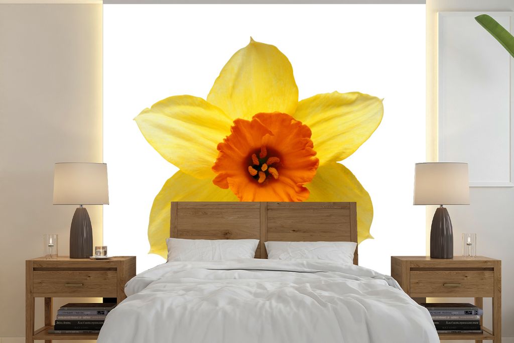MuchoWow Fototapete für Wohnzimmer oder Schlafzimmer Wandtapete Vinyl Motivtapete Narzisse Nahaufnahme - 260x260 cm - Papiertapeten