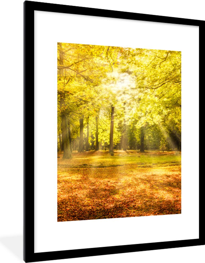 MuchoWow Gerahmtes Poster Baum - Natur - Sonne - Landschaft - Wald 60x80 cm - Poster mit Schwarzem Bilderrahmen Wandposter Rahmen Foto Bilder - W...