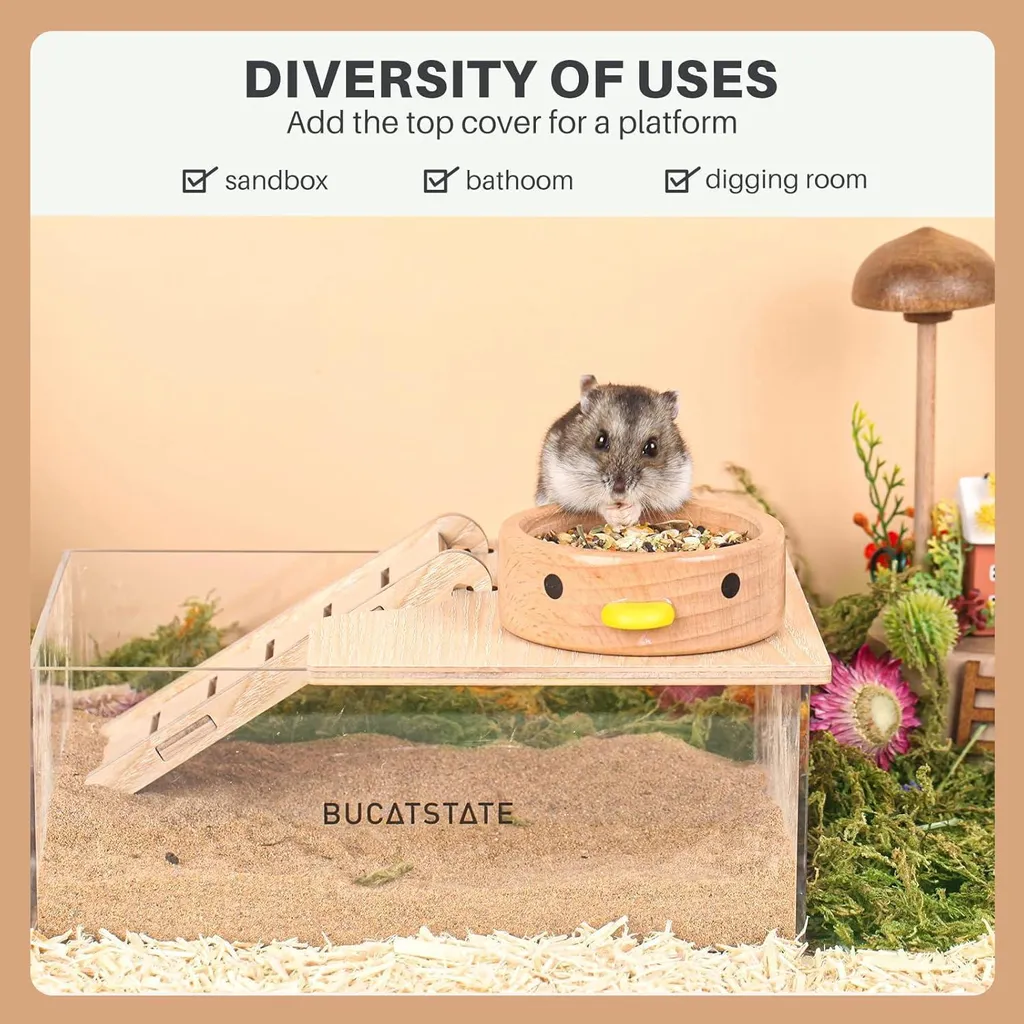 Bain de sable transparent pour hamster 3,2" avec échelle antidérapante