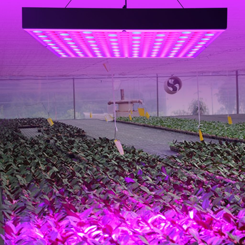 LED Pflanzenleuchte VollSpektrum 1100W Wachstumslampe Licht für Blume Gemüse DE 