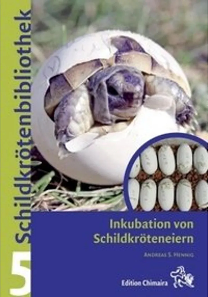 Boîte d'Incubation pour Œufs de Tortue Professionnelle avec 12 Grilles
