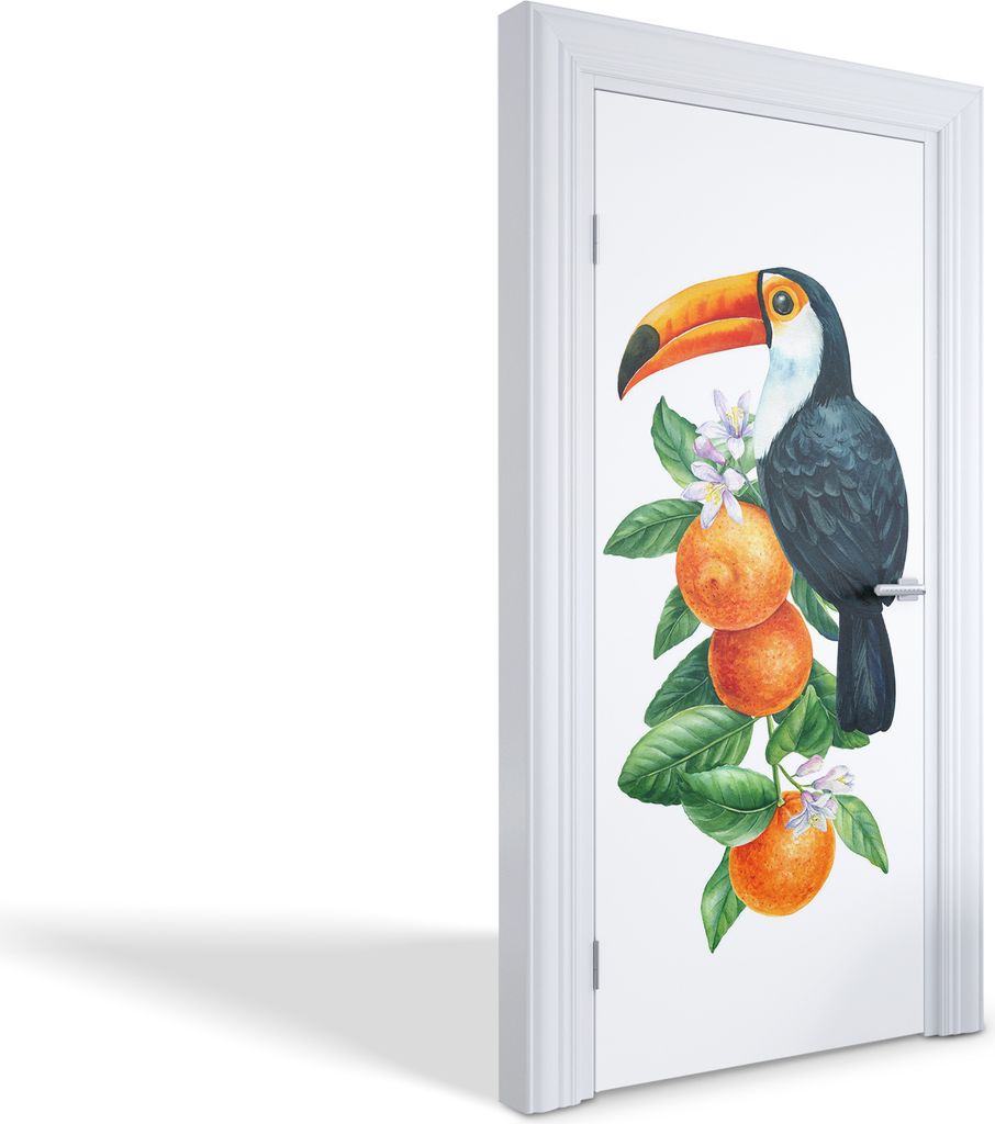 Türfolien Design Selbstklebende Wandsticker Türtapeten - Tukan und Orangen - 95 x 205 cm