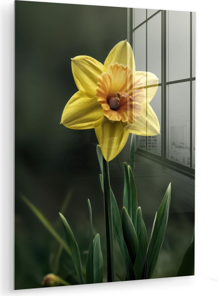 MuchoWow Glasbilder - Bilder auf Wandbild - Foto auf Glas Blume - Narzisse - Gras - Gelb 60x80 cm Wanddekoration aus Glas - Acrylglasbild - Acrylbi...