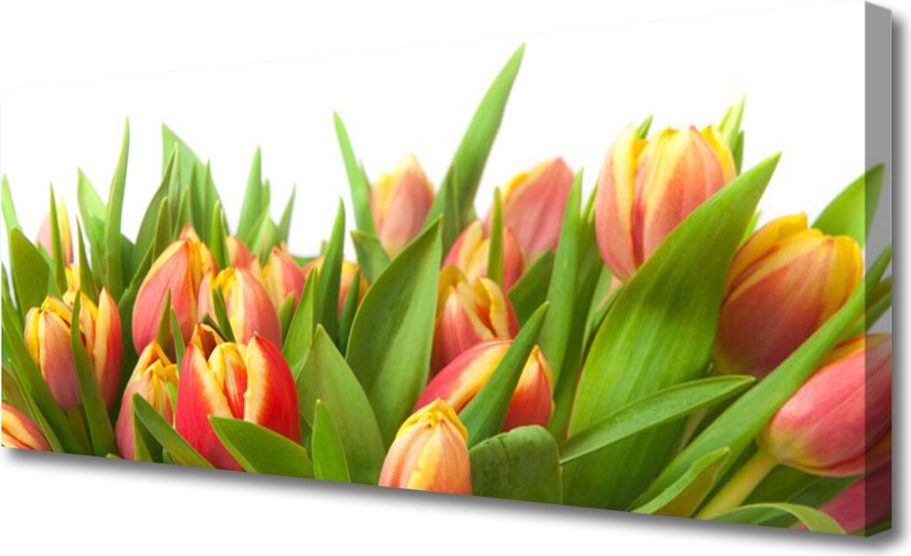 Tulup Leinwand-Bilder 125x50 Wandbild Canvas Kunstdruck Tulpen Pflanzen