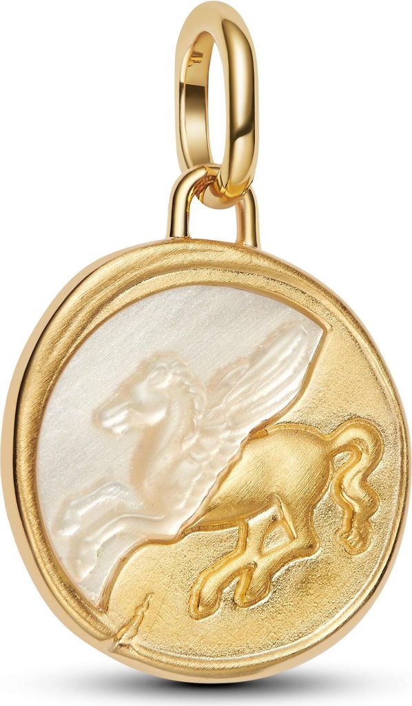 Pandora Pegasus Medaillon-Charm 764090C01 Charm Anhänger