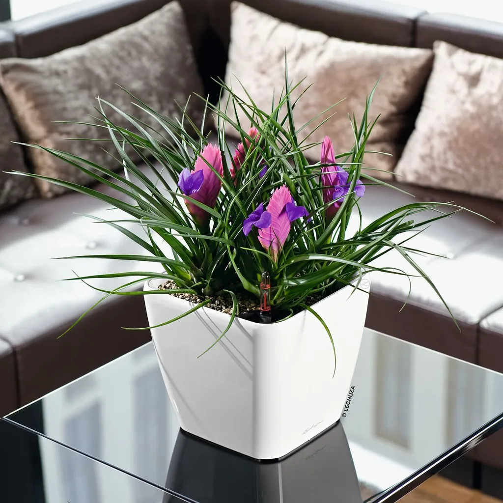 Bac à Fleurs Design pour Intérieur avec Réserve d'Eau Blanc Brillant