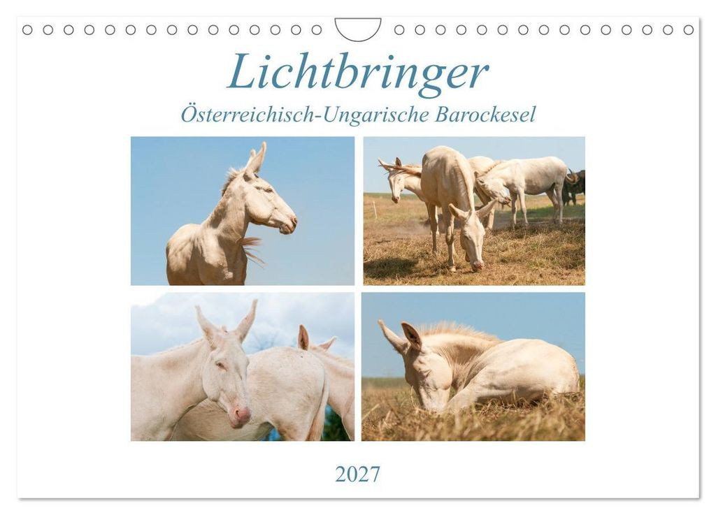 Lichtbringer - Österreichisch-Ungarische Barockesel (Wandkalender 2027 DIN A4 quer), CALVENDO Monatskalender