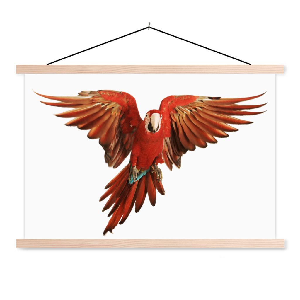 MuchoWow Textilposter Ara - Vogel - Federn - Weiß 60x40 cm mit holzfarbenen Rahmen - Bilder