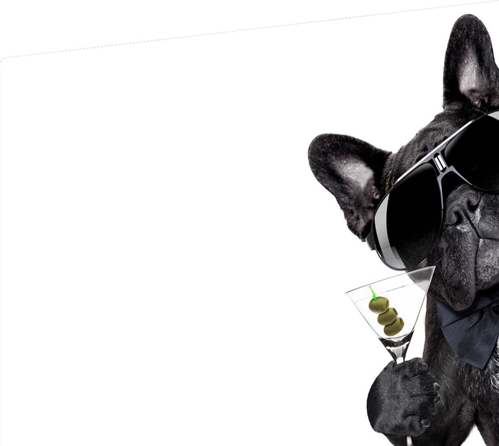 Glas Herdabdeckplatte 60x52 cm Spritzschutz Glasabdeckplatte Schneidebrett Hund mit Martini