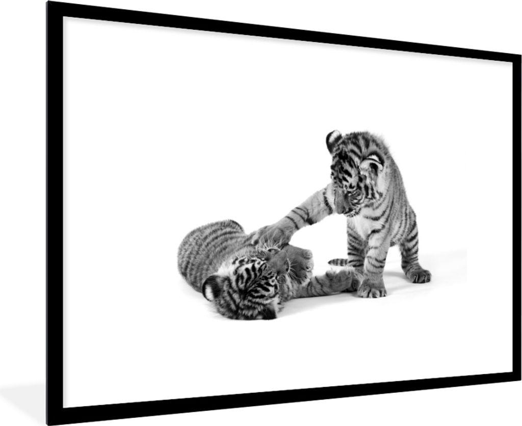 MuchoWow MuchoWow Gerahmtes Poster Tiger - Spiele - Schwarz - Weiß 90x60 cm - Poster mit zchwarzem Bilderrahmen - Wanddekoration - Fotos
