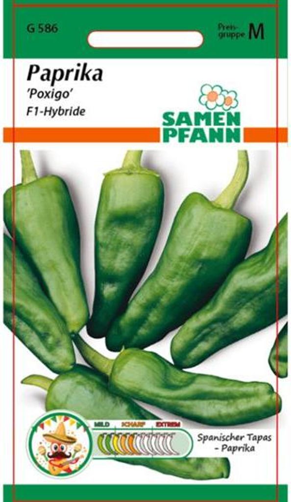 Paprika Poxigo F1-Hybride | Paprikasamen von Samen Pfann