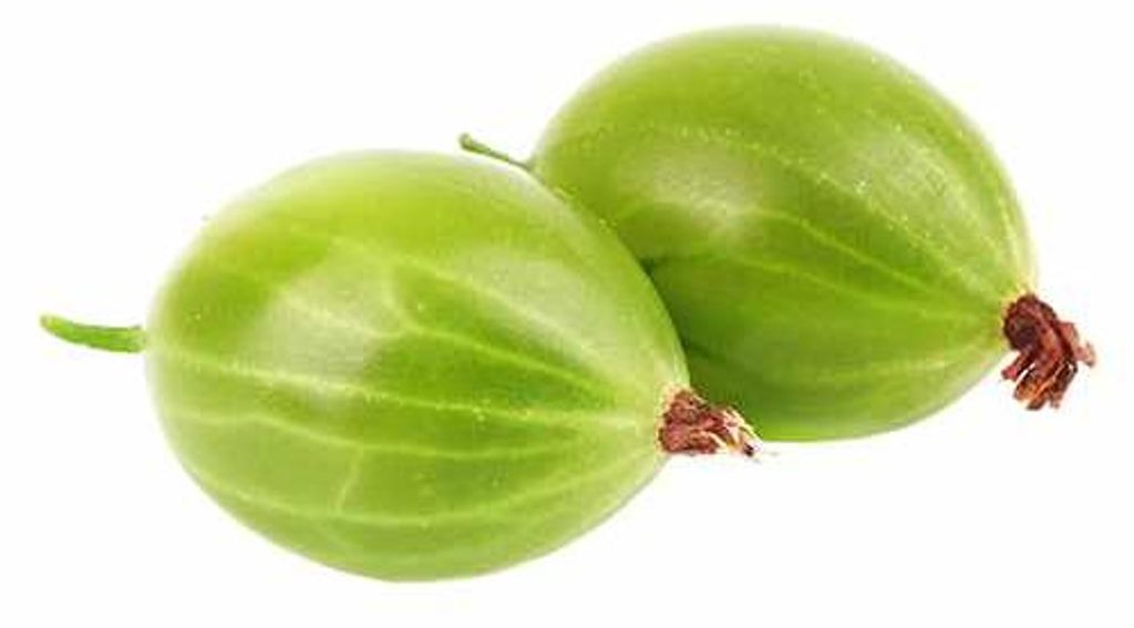 Uva spina verde - Ribes uva-crispa Hinnonmäki verde P9 Immagine del prodotto 