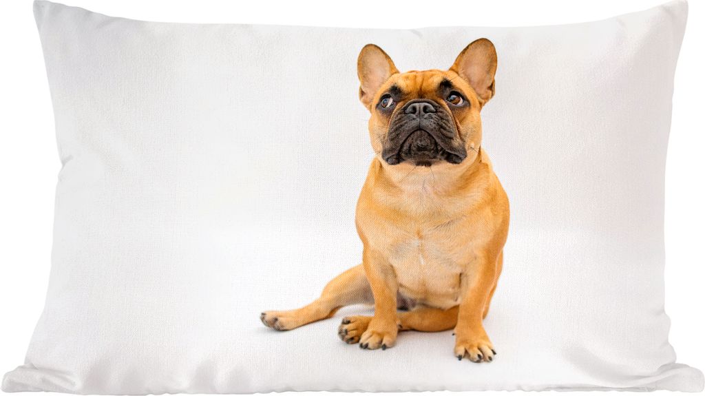 MuchoWow Zierkissen Sofakissen Wohnzimmer Dekokissen 50x30 cm Französische Bulldogge - Weiß - Braun - Wohnzimmerdekoration - Polster mit Photo
