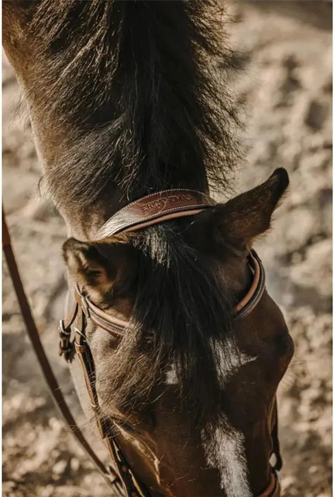 Bridon Eric Thomas Work en Cuir de Buffle Havane - Taille Cob Cavalier - 4