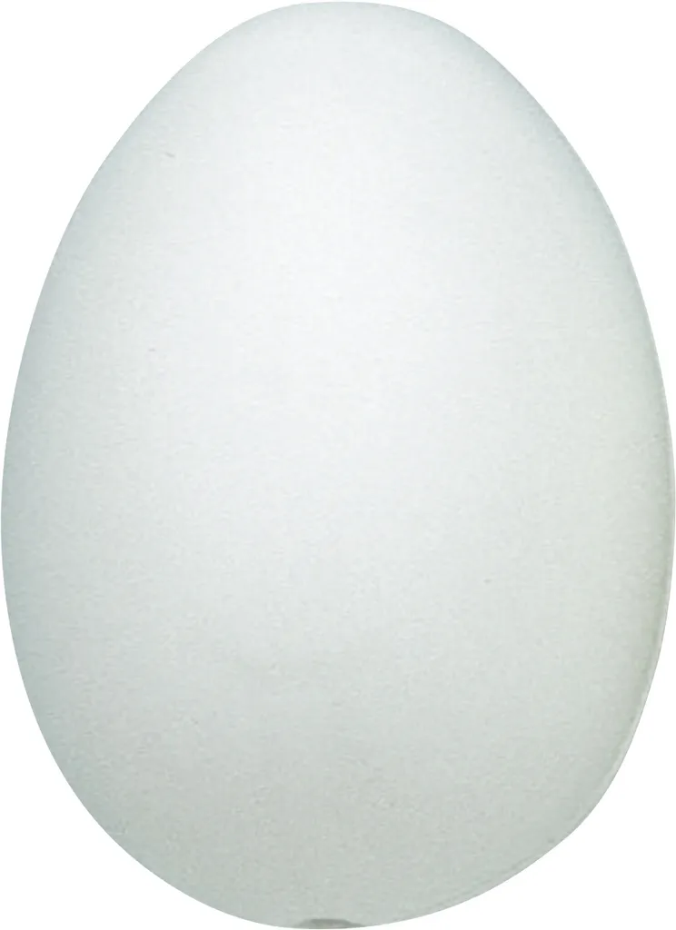 KNORR prandell 216924000 Œuf 60 x 45 mm blanc pour loisirs créatifs DIY
