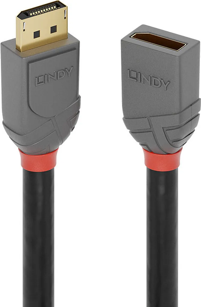 Prolunga Lindy 36497 DisplayPort 1.4 Anthra 2m | Editing Video 8K HDR