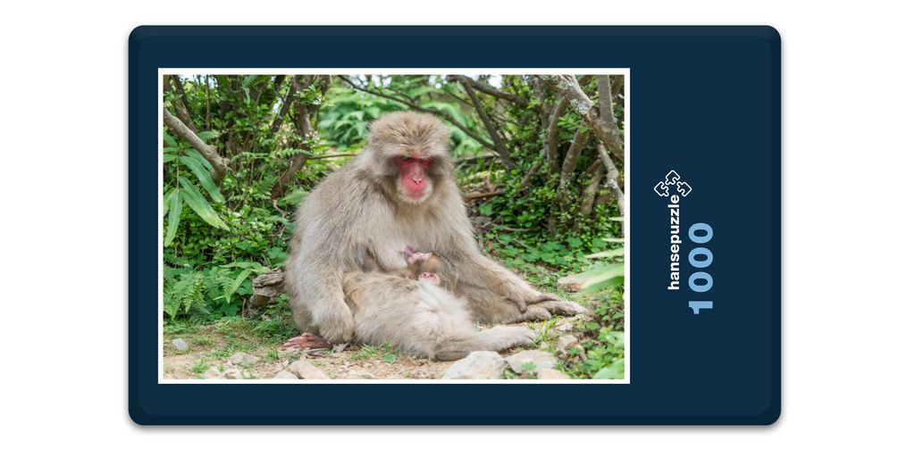 hansepuzzle 15922 - Affen-Baby Puzzle, 1000 Teile, Tierwelt, 60,0 x 46,0cm mit hochwertiger Aufbewahrung, Kartonbox und wiederverschließbarem Beutel