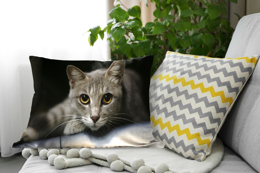 MuchoWow Zierkissen Sofakissen Wohnzimmer Dekokissen 60x40 cm Katze - Grau - Kopf - Kopfkissen - Polster mit Foto