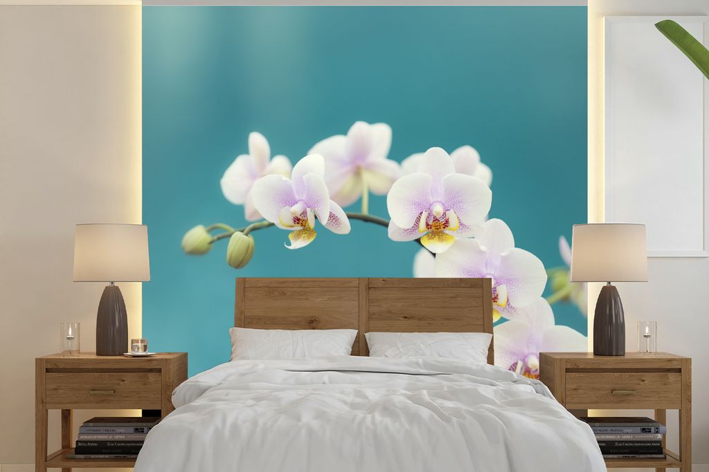 MuchoWow Fototapete für Wohnzimmer oder Schlafzimmer Wandtapete Vinyl Motivtapete Orchidee - Blumen - Pflanze - Weiß - Lila - 280x280 cm - Hint...