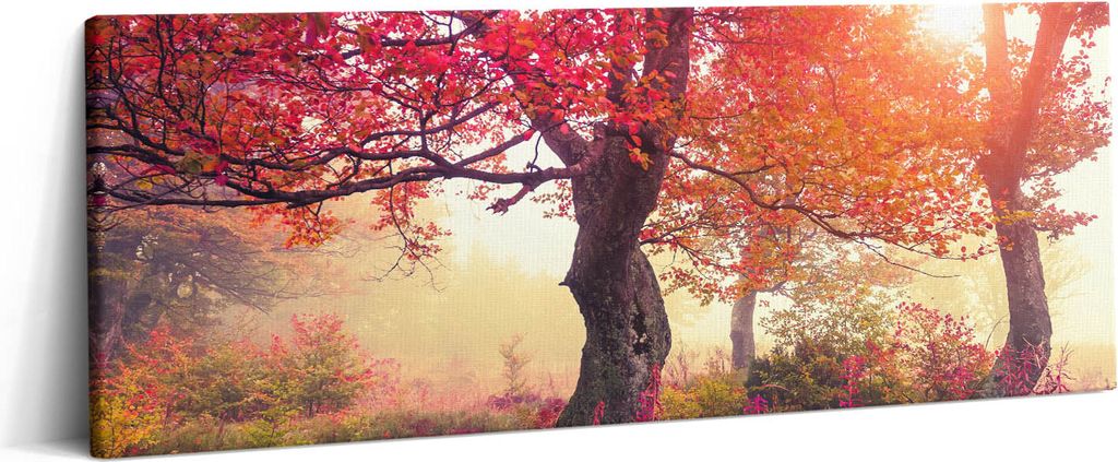 Herbstliche Bäume – Leinwandbild Wandbild – 125x50 cm – Leinwandbilder – Wandbilder – Schlafzimmer – Flur