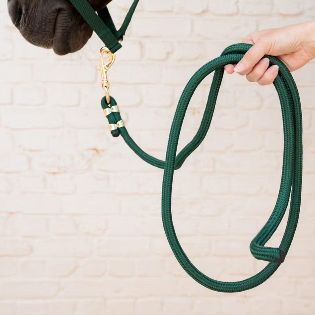 Kentucky Horsewear Führstrick Basic Pferdestrick Tannengrün