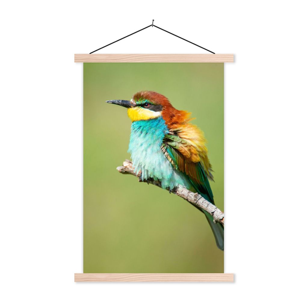 MuchoWow Textilposter Vogel - Tiere - Bienenfresser 40x60 cm mit holzfarbenen Rahmen - Poster