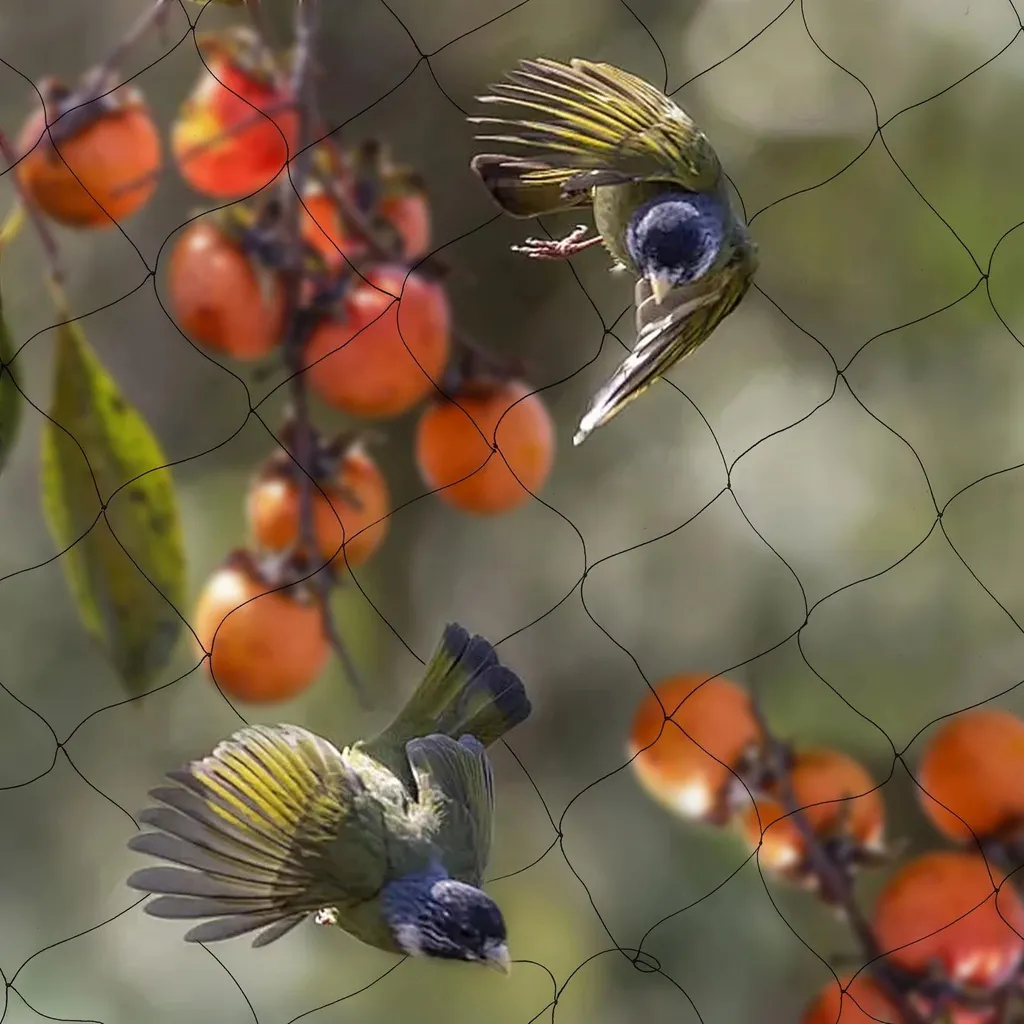 Protection des Plantes et Cultures contre Oiseaux en Filet Nylon Noir