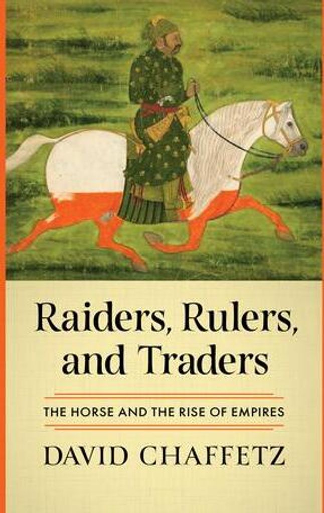 Raiders Rulers & Traders – Lingua: Inglese