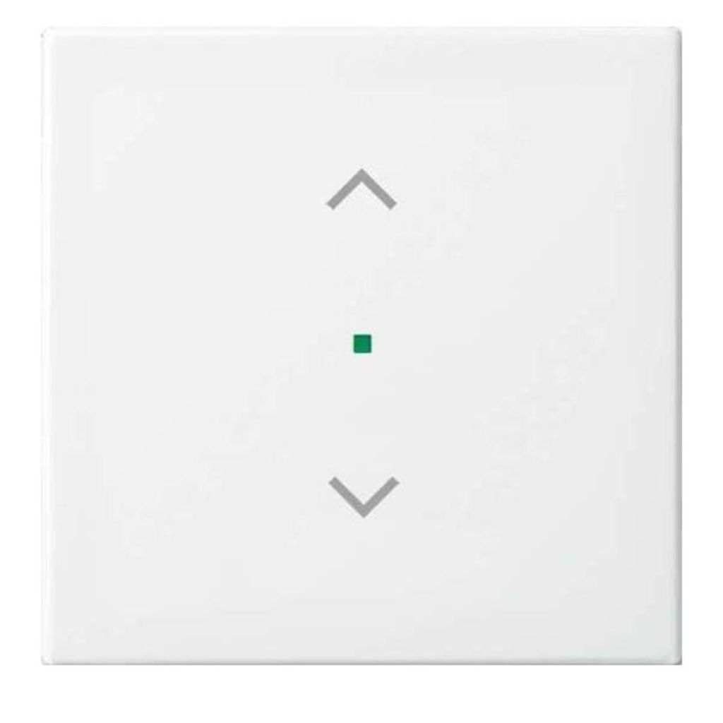 Busch-Jaeger Wippe aws 6232-10-914 2CKA006220A0357